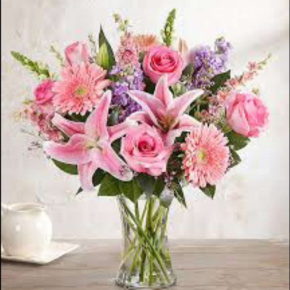 Meet your Posher, Amy